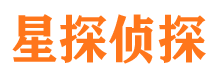 禅城侦探公司